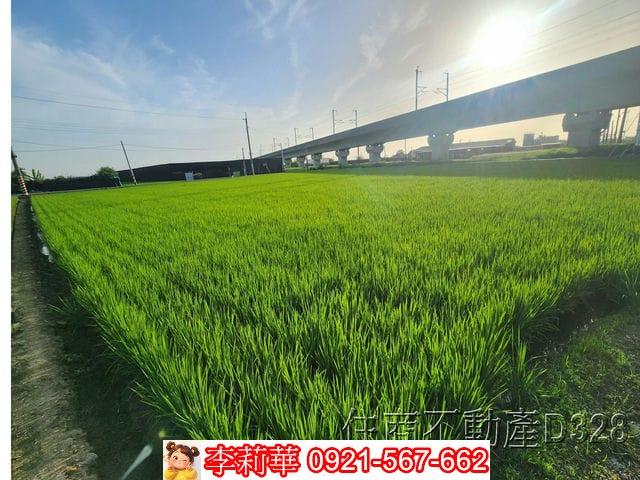 六甲農地-6
