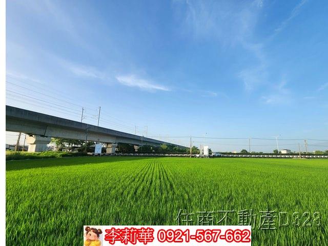 六甲農地-8