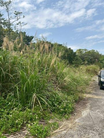 桃園大溪農地-0