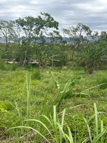 桃園大溪農地-2