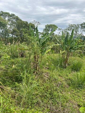 桃園大溪農地-3