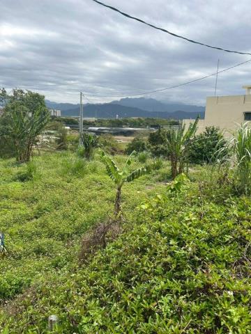 桃園大溪農地-4