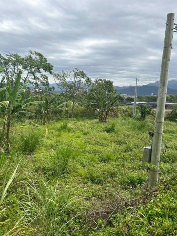 桃園大溪農地-5