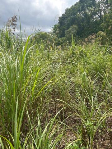 桃園大溪農地-6
