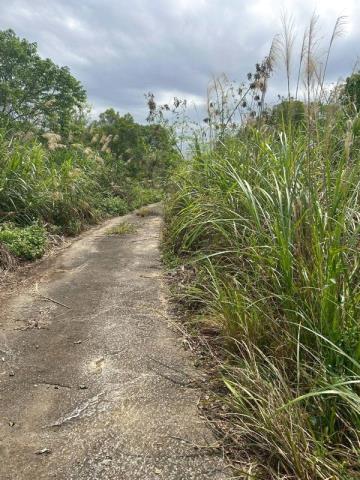 桃園大溪農地-7