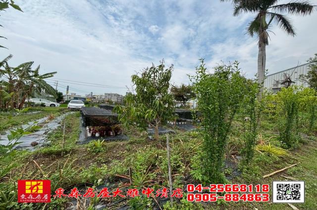 大雅農地-1