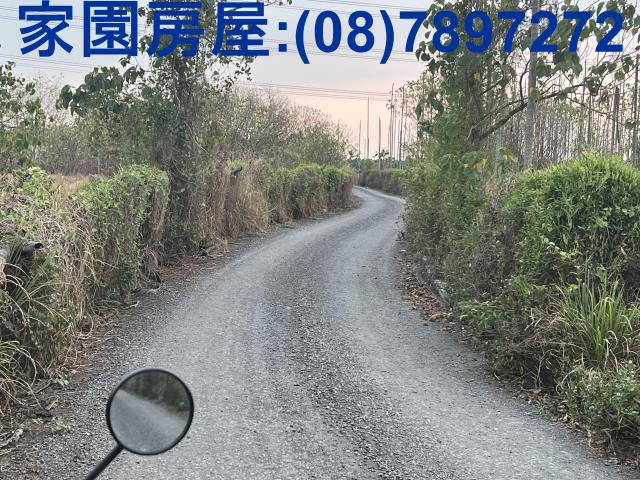 屏東新埤農地-5