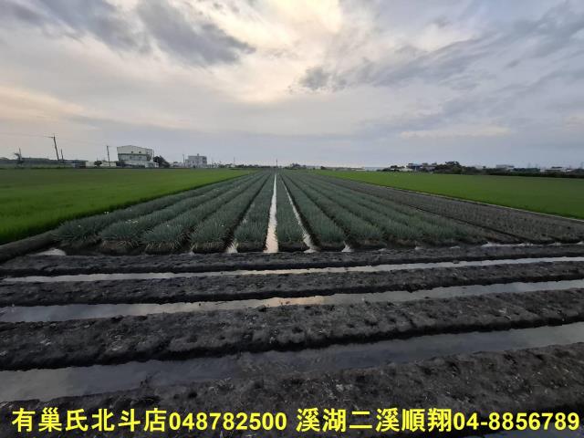 彰化埤頭農地-6