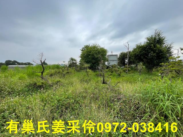 嘉義竹崎農地-11