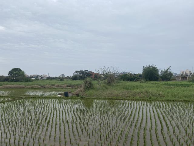 中壢農地-2