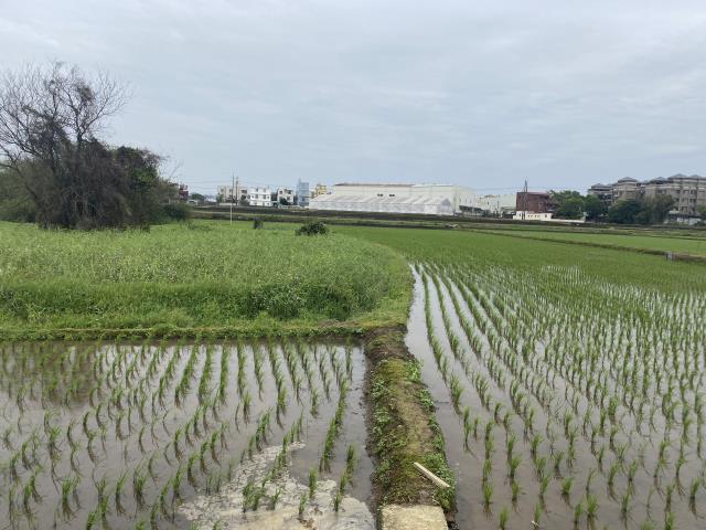 中壢農地-7