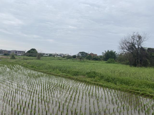中壢農地-8