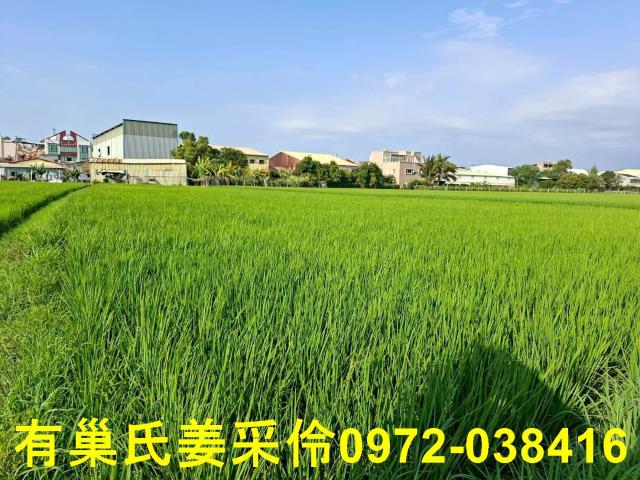 嘉義西區農地-9