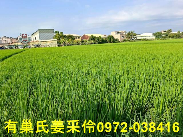 嘉義西區農地-10