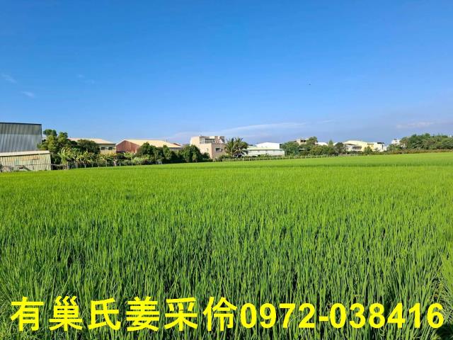 嘉義西區農地-11