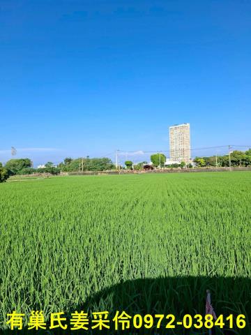 嘉義西區農地-0