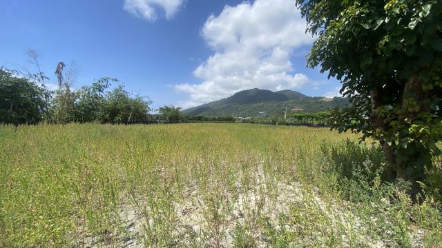 台東太麻里農地-5