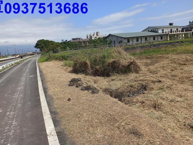 宜蘭壯圍農地-2