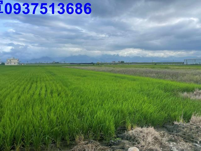 宜蘭壯圍農地-9