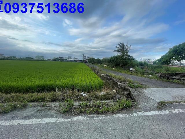 宜蘭壯圍農地-13
