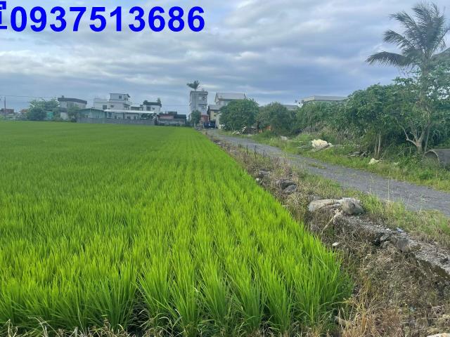 宜蘭壯圍農地-8