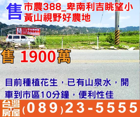 卑南農地-0