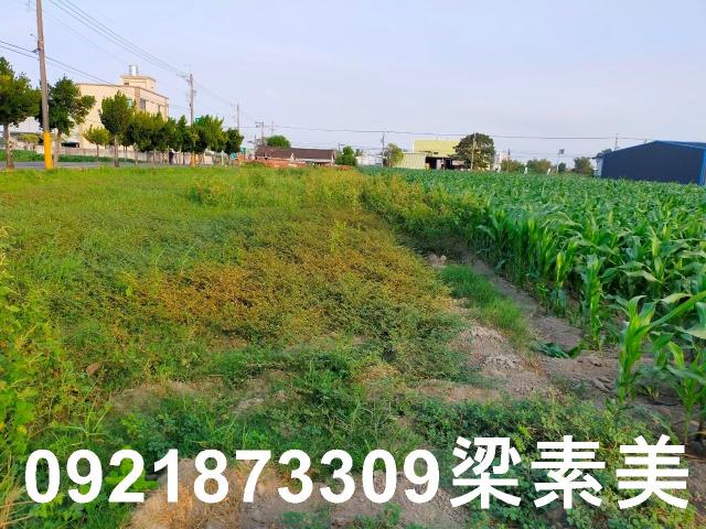 台南農地-12