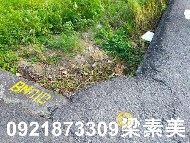 台南農地-2