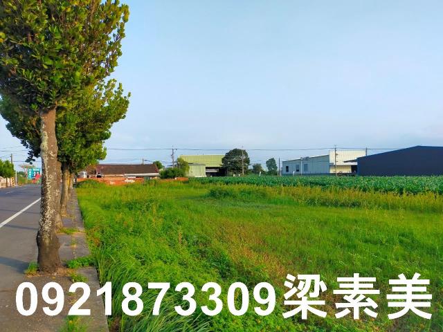 台南農地-3