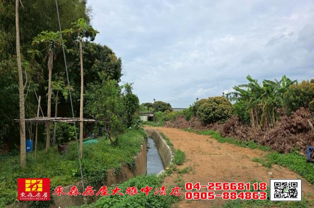 台中農地-2