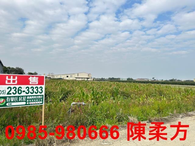 嘉義農地-3