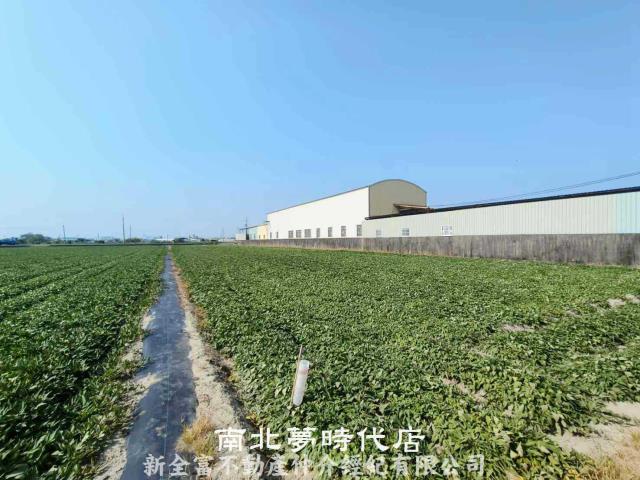 台南新市農地-0