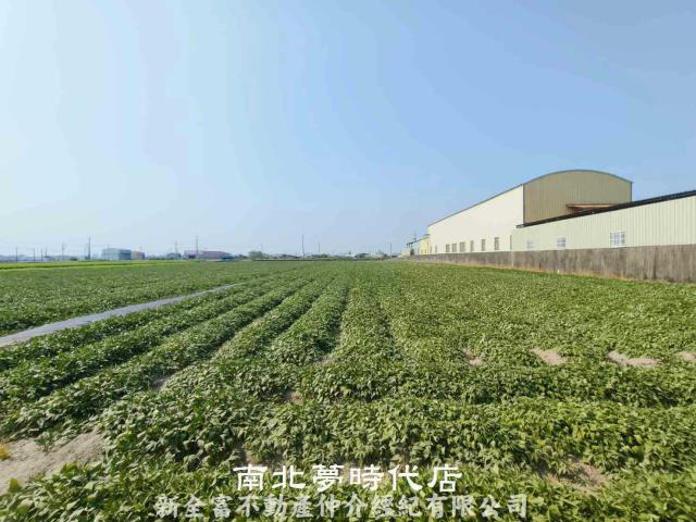 台南新市農地-1