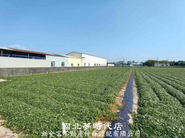台南新市農地-3