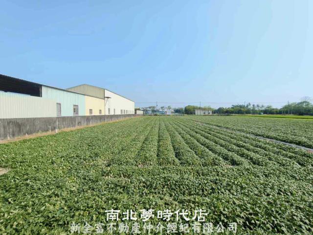台南新市農地-4