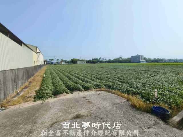 台南新市農地-5