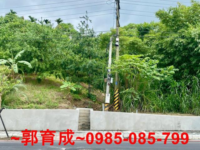 嘉義東區農地-0
