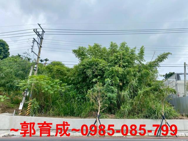 嘉義東區農地-3