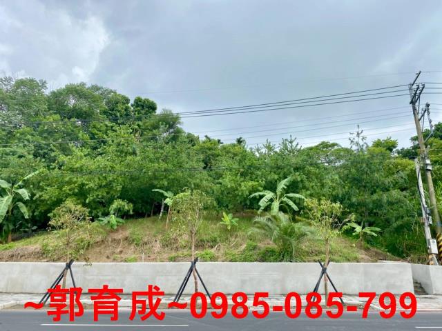 嘉義東區農地-4