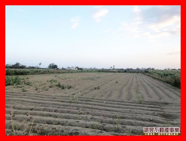 台南七股農地-3