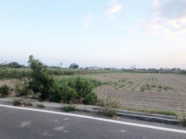 台南七股農地-6