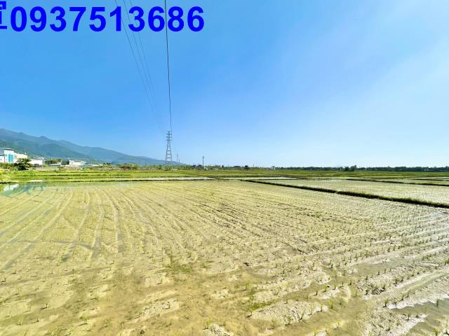 宜蘭頭城農地-3