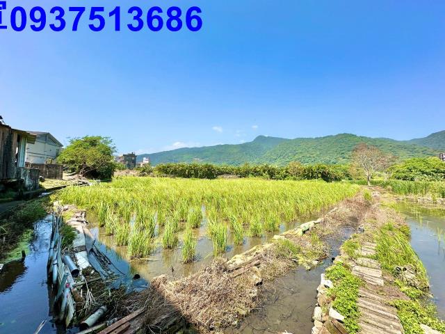 宜蘭頭城農地-11