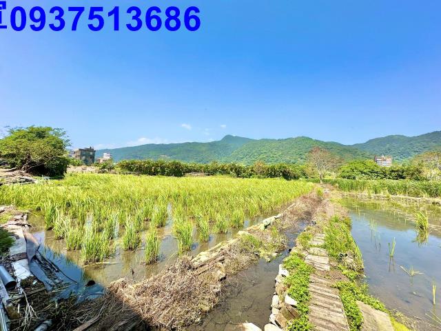 宜蘭頭城農地-12