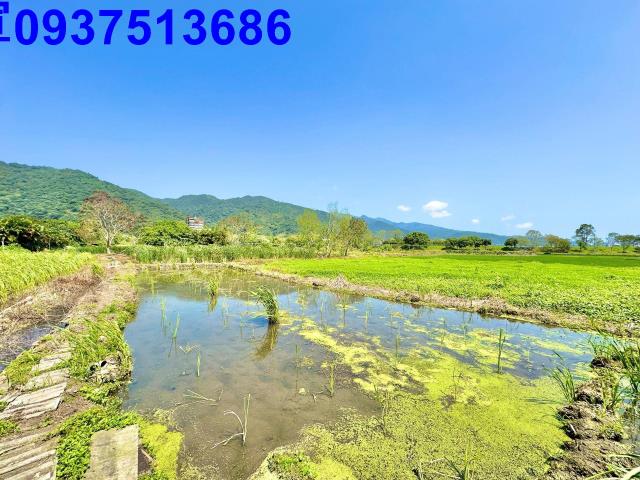 宜蘭頭城農地-0