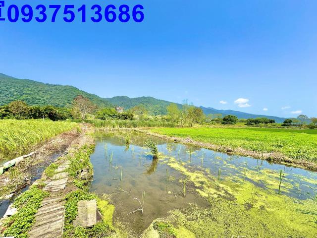 宜蘭頭城農地-1