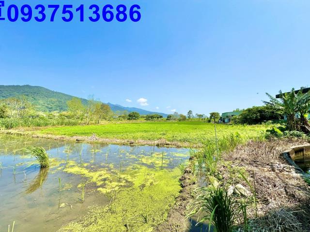 宜蘭頭城農地-4