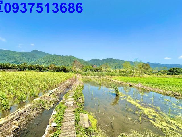 宜蘭頭城農地-5