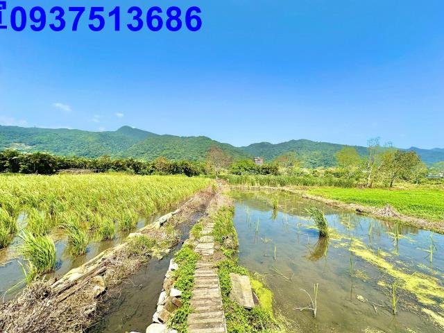 宜蘭頭城農地-6