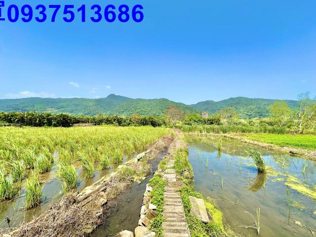 宜蘭頭城農地-7